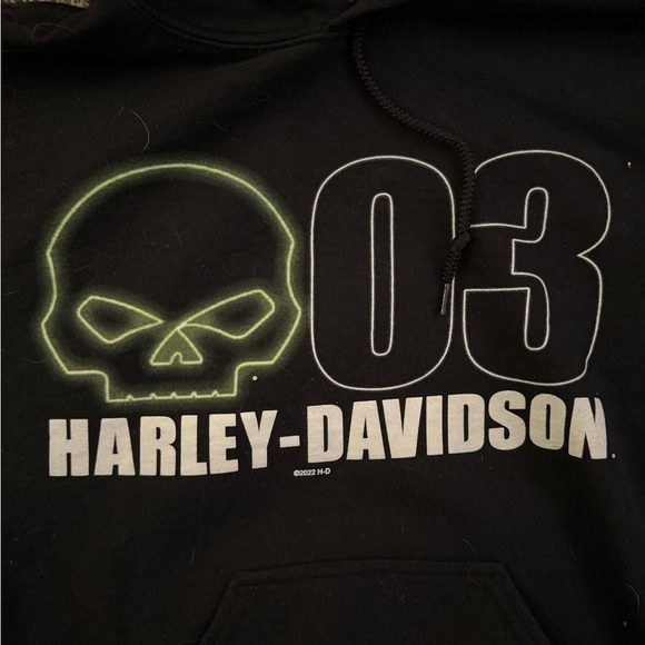 HARLEY- DAVIDSON Athens Men's HOODIE - Picture 9 of 10